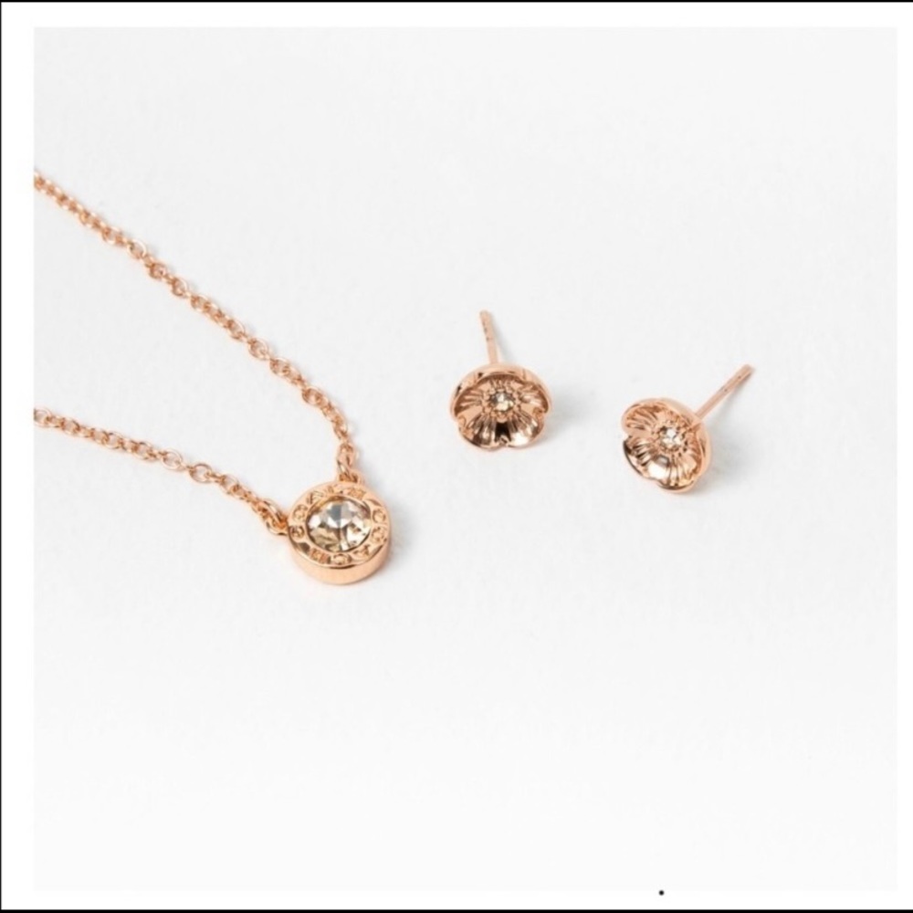 Coach Open Circle Rosegold Set - Picture 2 of 6